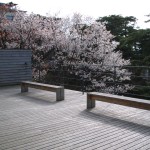 べにや無何有 方林横のテラス