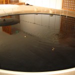 べにや無何有 円庭