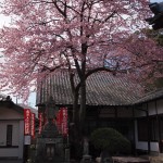 修禅寺