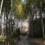 竹林の小径