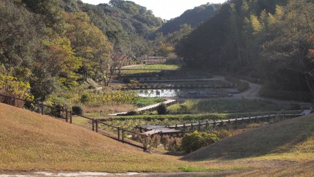 里山水生園