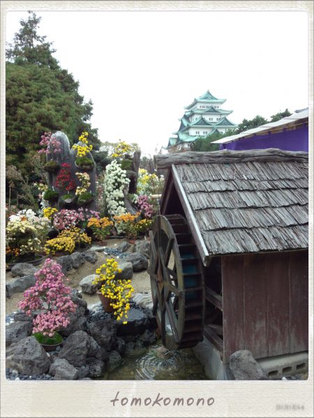 名古屋城秋祭り