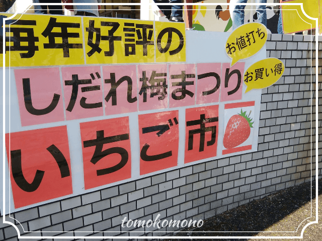 しだれ梅まつり　農業センター