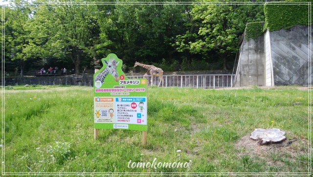 東山動物園　混雑　GW